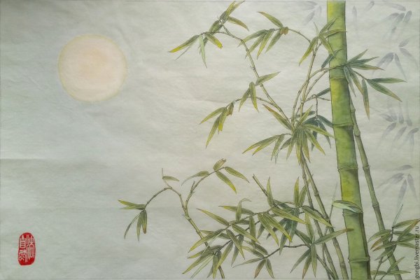 Бамбук гунби