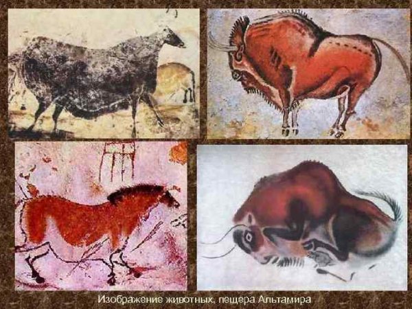 Наскальная живопись бык