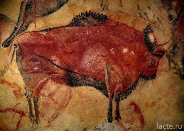 Бизон пещера Альтамира Испания