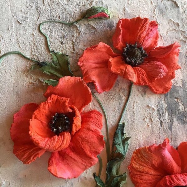 Декоративные маки