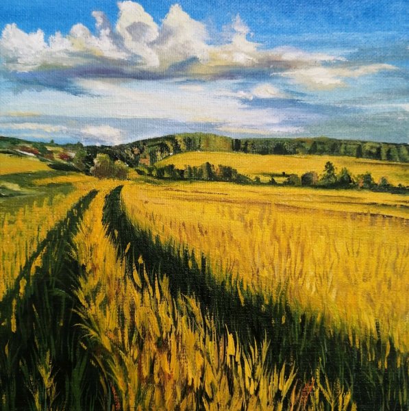 Картина поле пшеницы