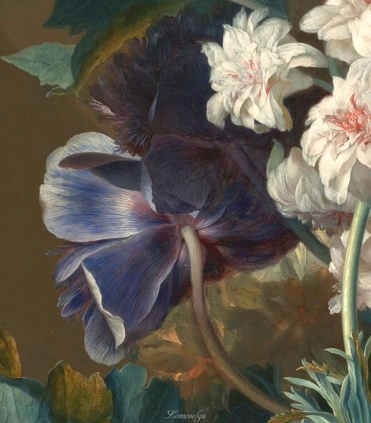 Ян Ван хейсум