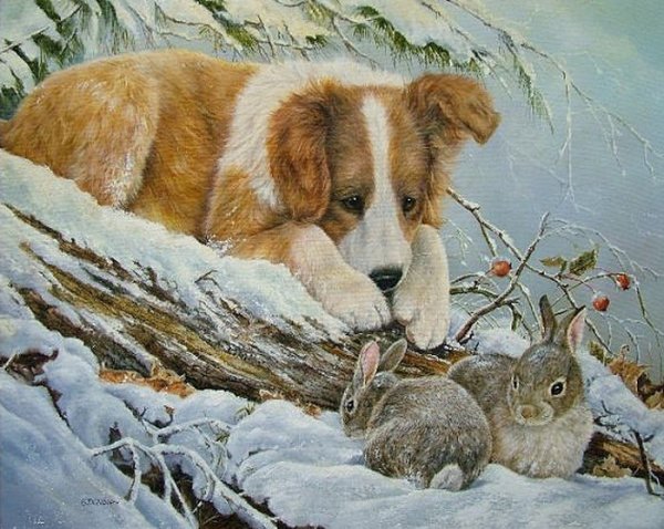 Художник Shirley Deaville