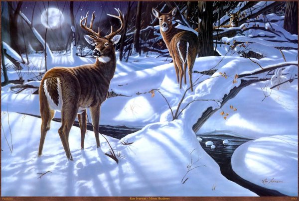 Олень в лесу