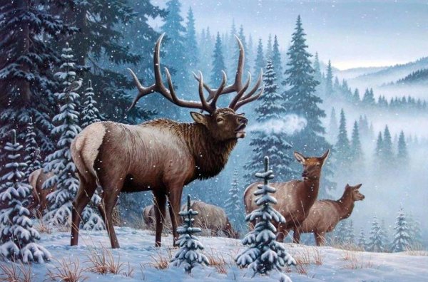 Зимний пейзаж с лосем