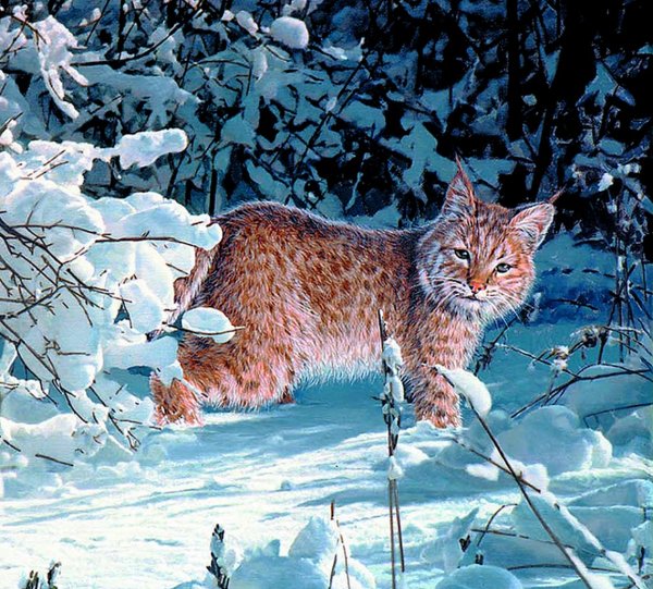 Зимний пейзаж с животными