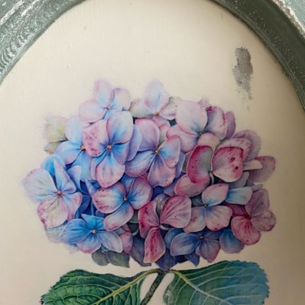 Родионова гортензия живопись