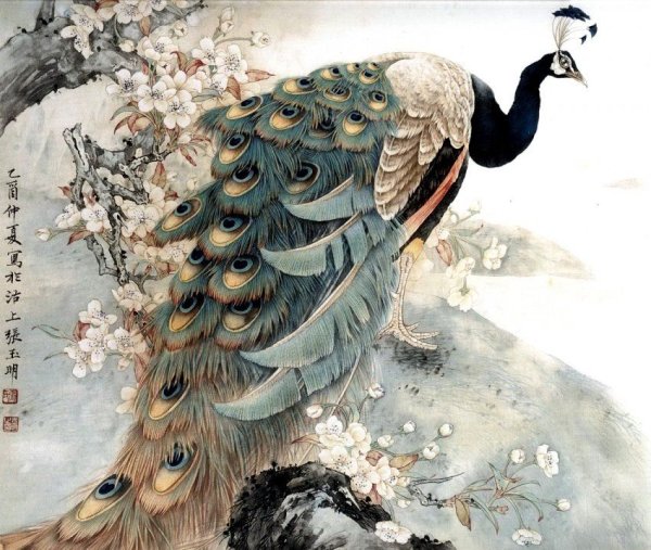 Гохуа Павлин