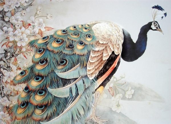 Живопись арт деко Павлин