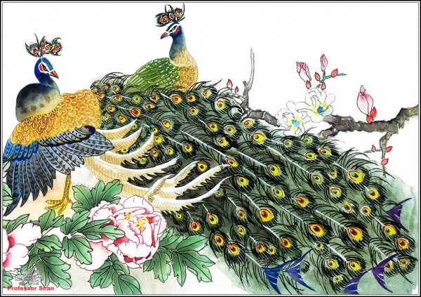 Гохуа Павлин