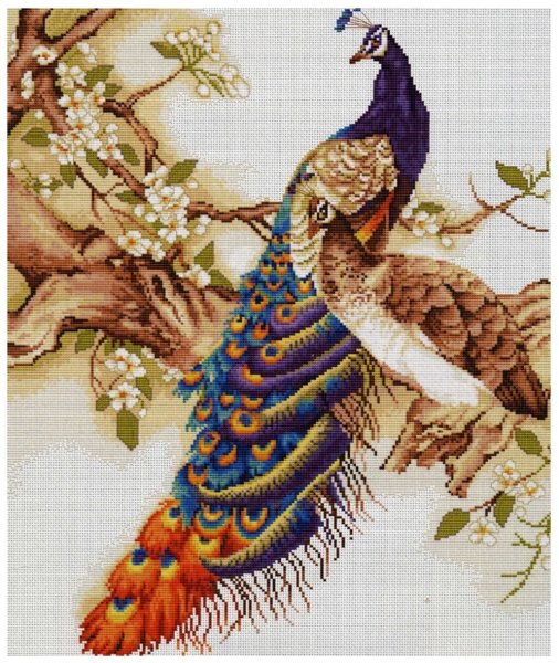 Вышивка Павлины золотое Руно