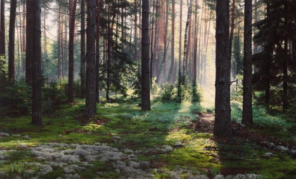 Александр Игнатьев мебель Подмосковье