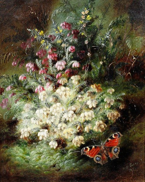 Альберт Дюрер художник