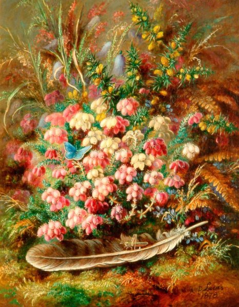 Альберт Дюрер Лукас картины