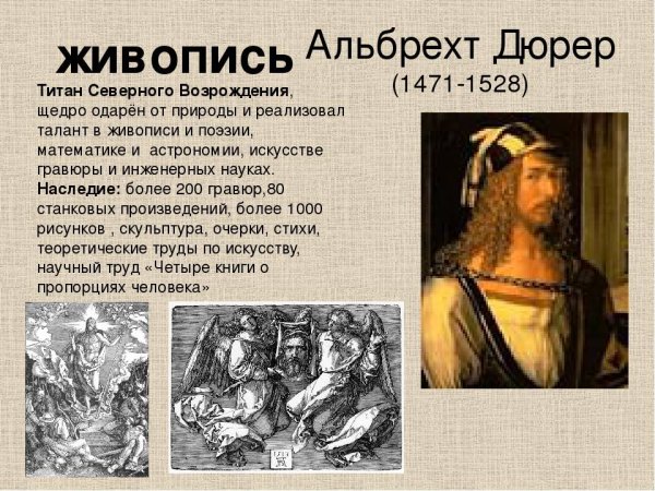 Альбрехт Дюрер натюрморты