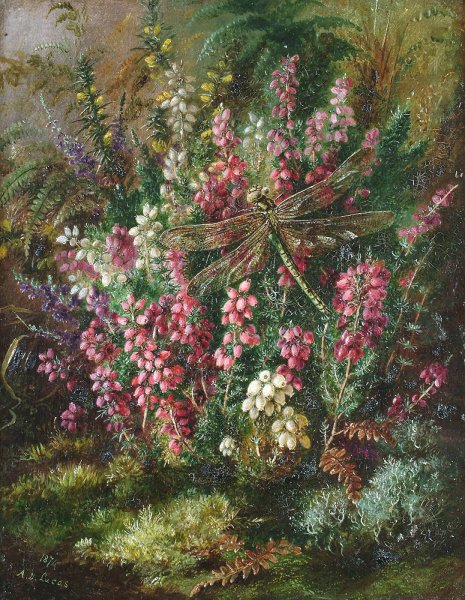 Акварель Альберта Дюрера