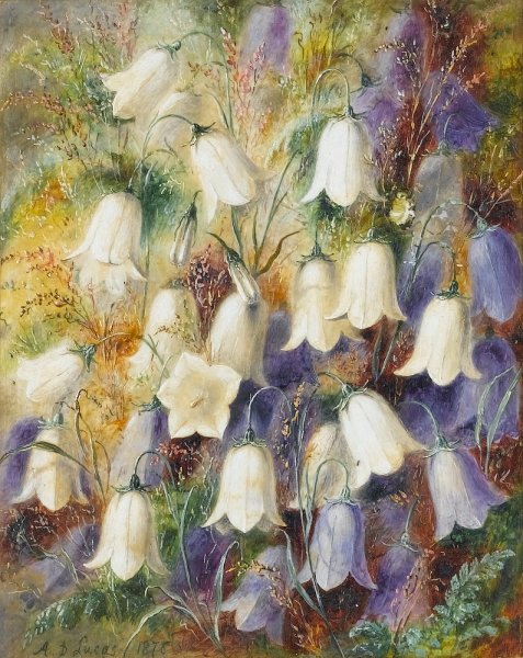 Дюрер натюрморт