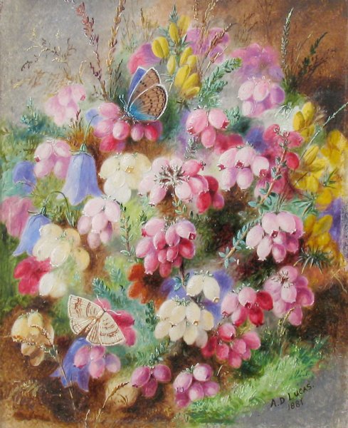 Альберт Дюрер Лукас 1828-1918