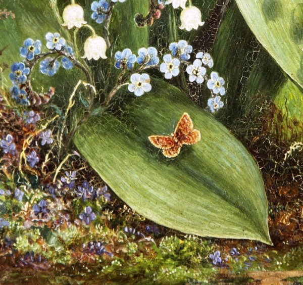 Художник Лукас Альберт Дюрер Ландыши