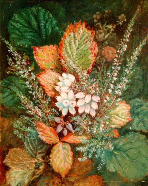 Дюрер художник эпохи Возрождения