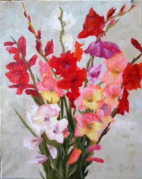 Сергей Андрияка гладиолусы