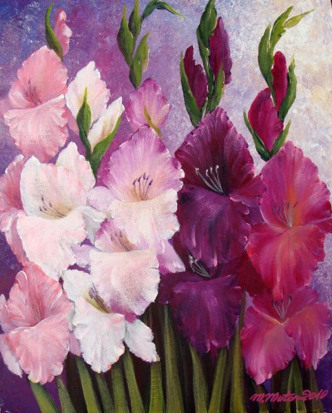 В Конашевич гладиолусы