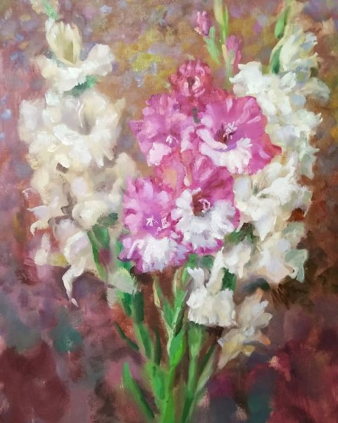 Андрияка гладиолусы