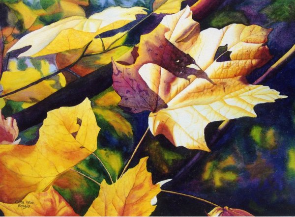 Акварели Cathy Hillegas