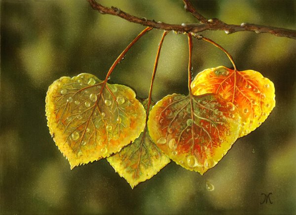 Деревья листва живопись