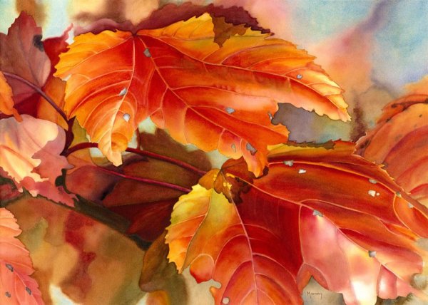 Марней Уорд