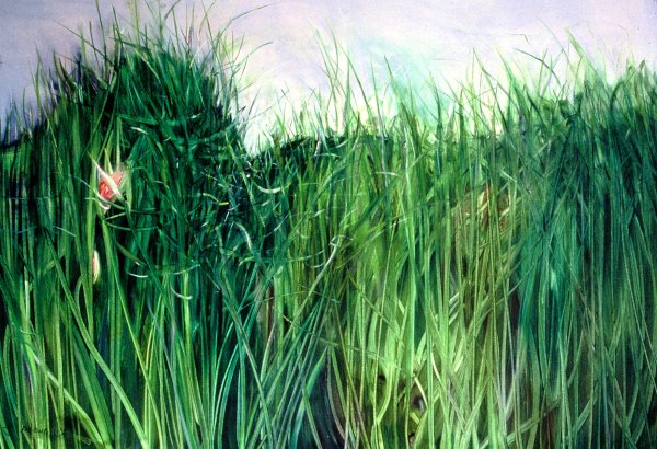 Картина трава