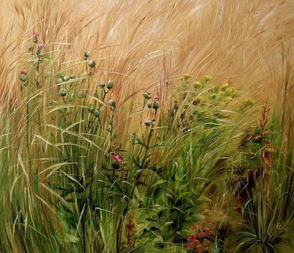 Художник Ирина Сергеева-Липеровская травы
