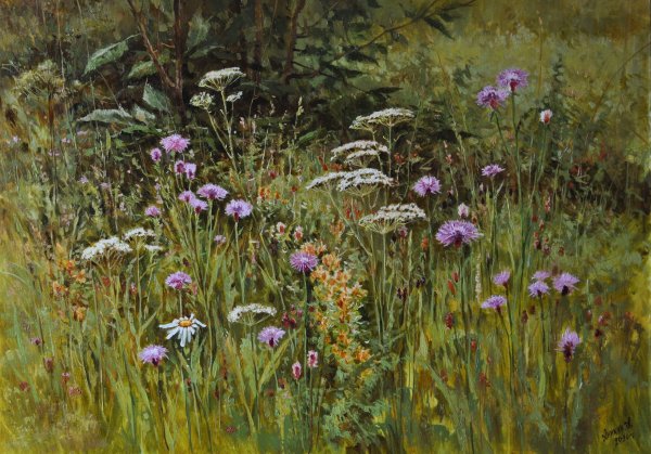 Художник Алексей Аникин полевые цветы