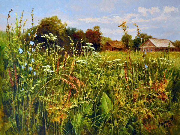 Шишкин сныть трава