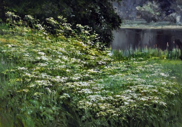 Луговые травы картины