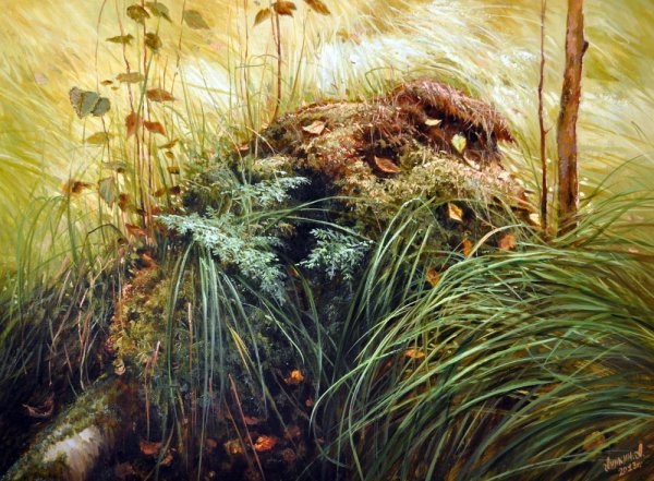 Художник Алексей Аникин полевые цветы