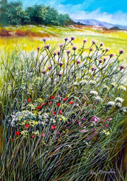 Трава гуашью