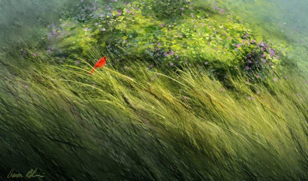 Луговые травы... Художник Алексей Аникин.