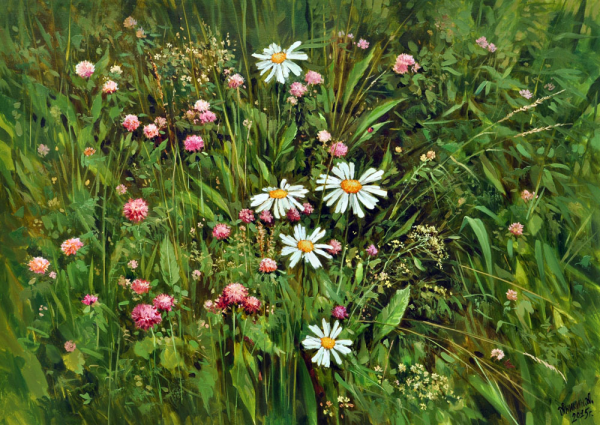 Шишкин разнотравье
