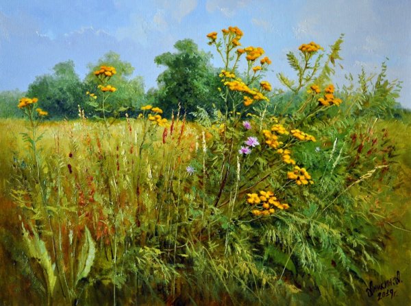 Вечерние травы художник