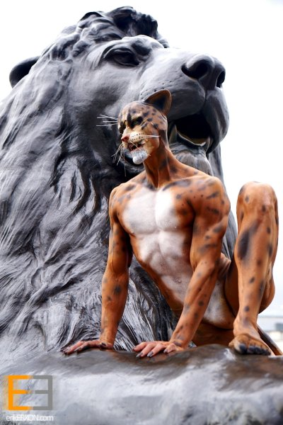 Hire book Humanimal - various Walkabout animals xxx