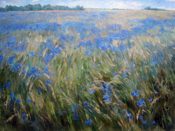 Костанди Харлампий васильки