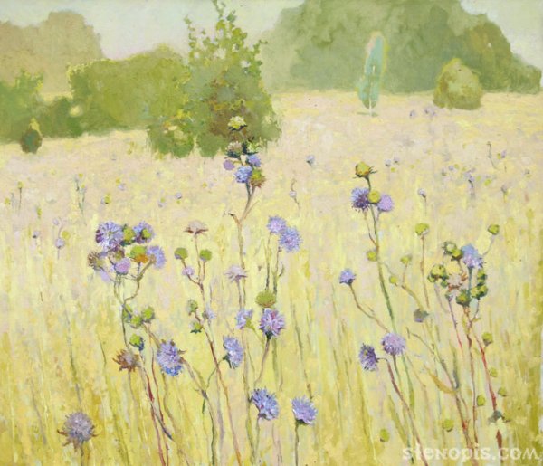 Поле цветы акварель