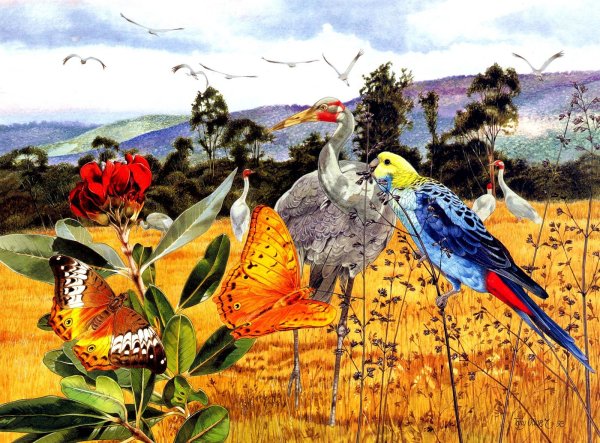 Австралия картина