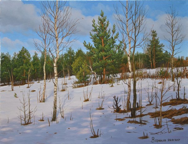 Александр Шадурин Трубчевск