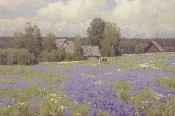 Алексей Тимошенко художник картины