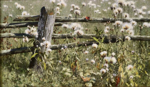 Тимошенко Алексей Николаевич художник