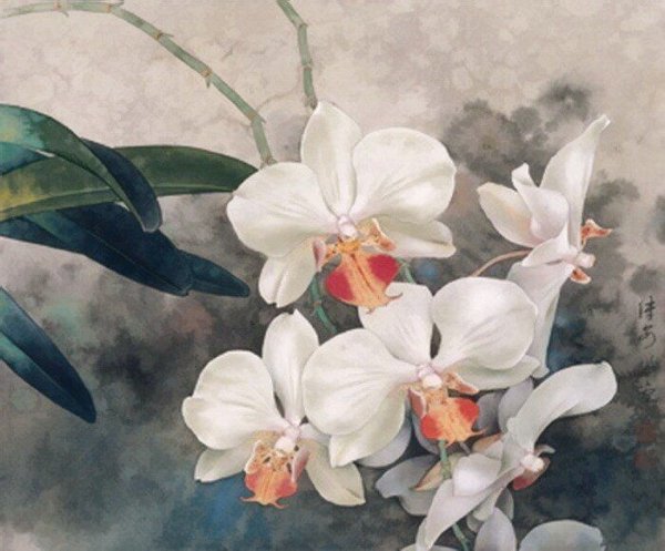 Гохуа орхидеи