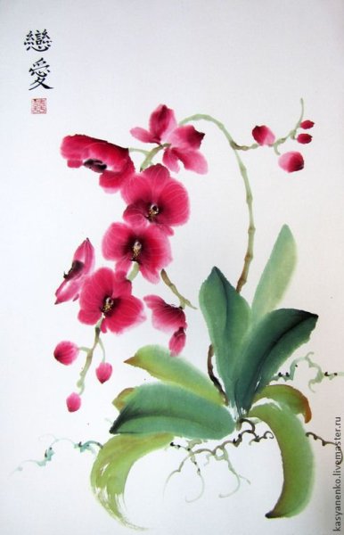 Елена Касьяненко китайская живопись Орхидея