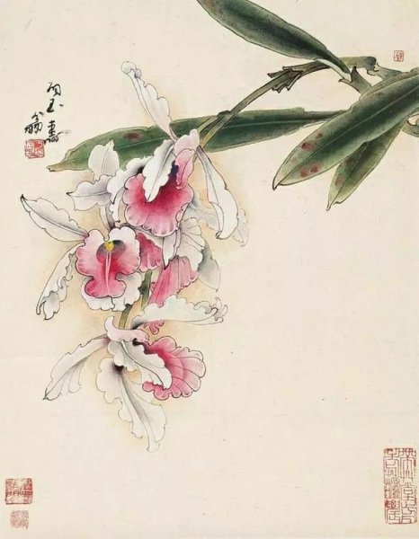 Стиль Гун би Дикая Орхидея